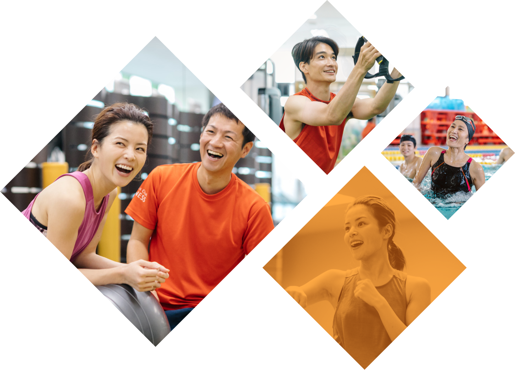 フィットネス施設事業｜ティップネス