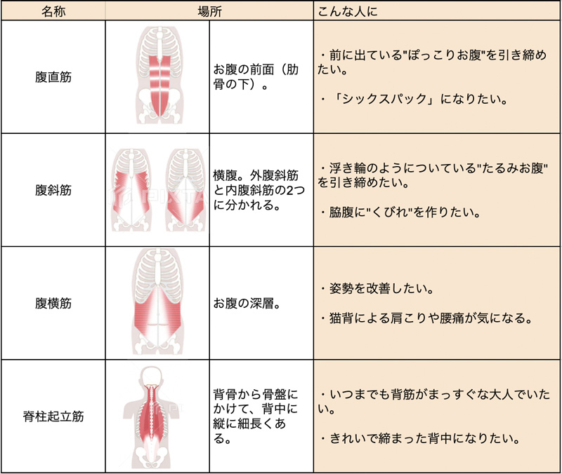 プランクはどこに効く？鍛えられる部位