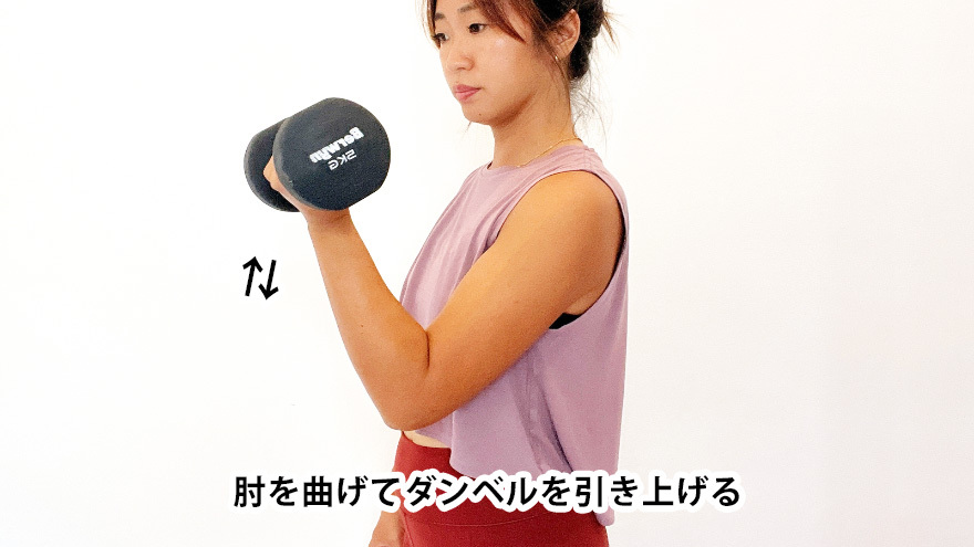 ダンベルカール