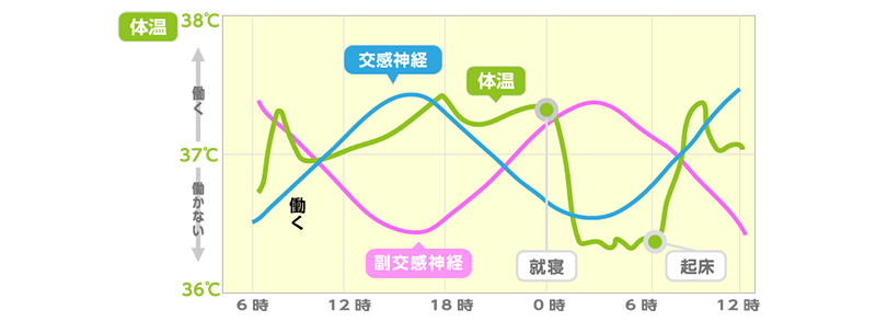 まずは知っておきたい！「生体リズム」って？