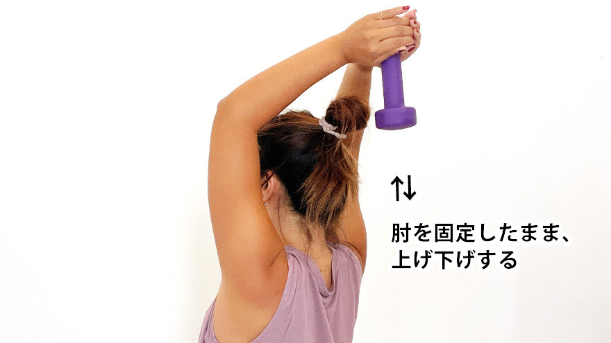 ダンベルトレーニング／難易度：やさしい