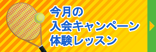 今月の入会キャンペーン・体験レッスン!
