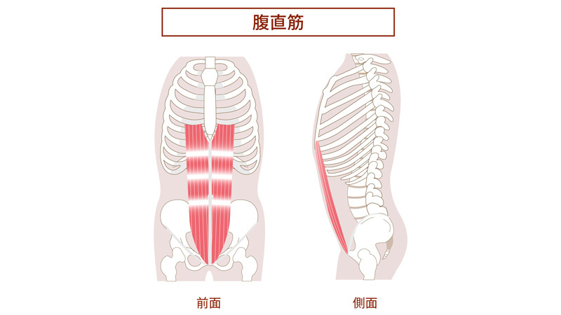 1.「腹直筋」を鍛える