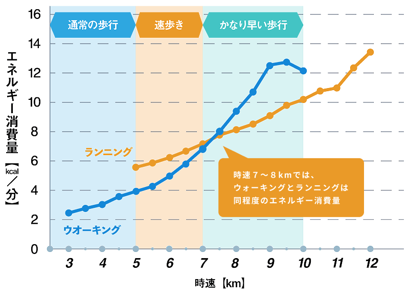 時速7〜8kmでは、ウォーキングとランニングは同程度のエネルギー消費量