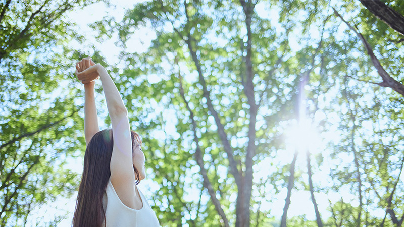 【夏だからこそ】森林浴とは？期待できる3つの効果で心も体もリフレッシュ